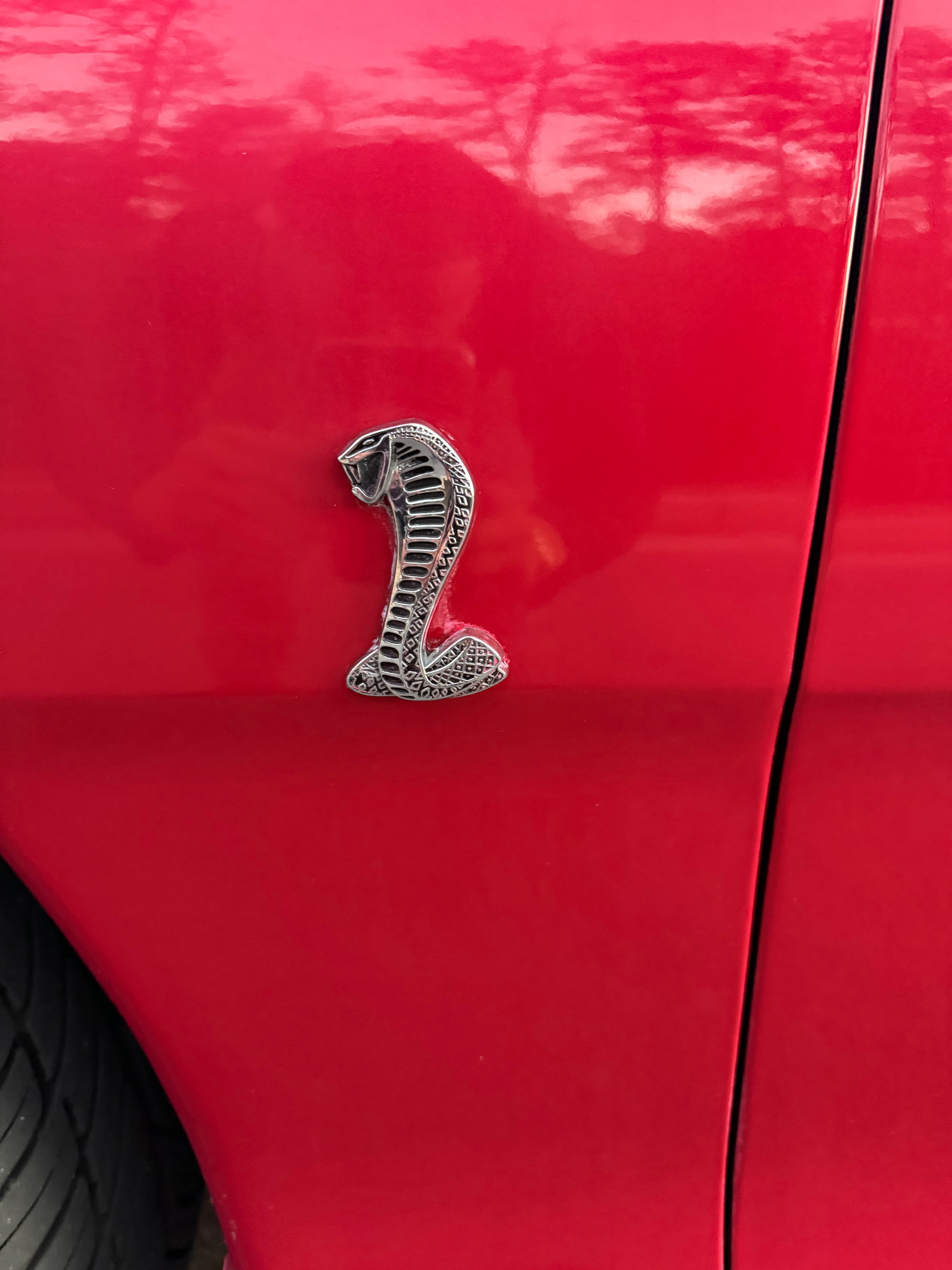 1998 Ford Mustang Svt Cobra - Thumbnail 10