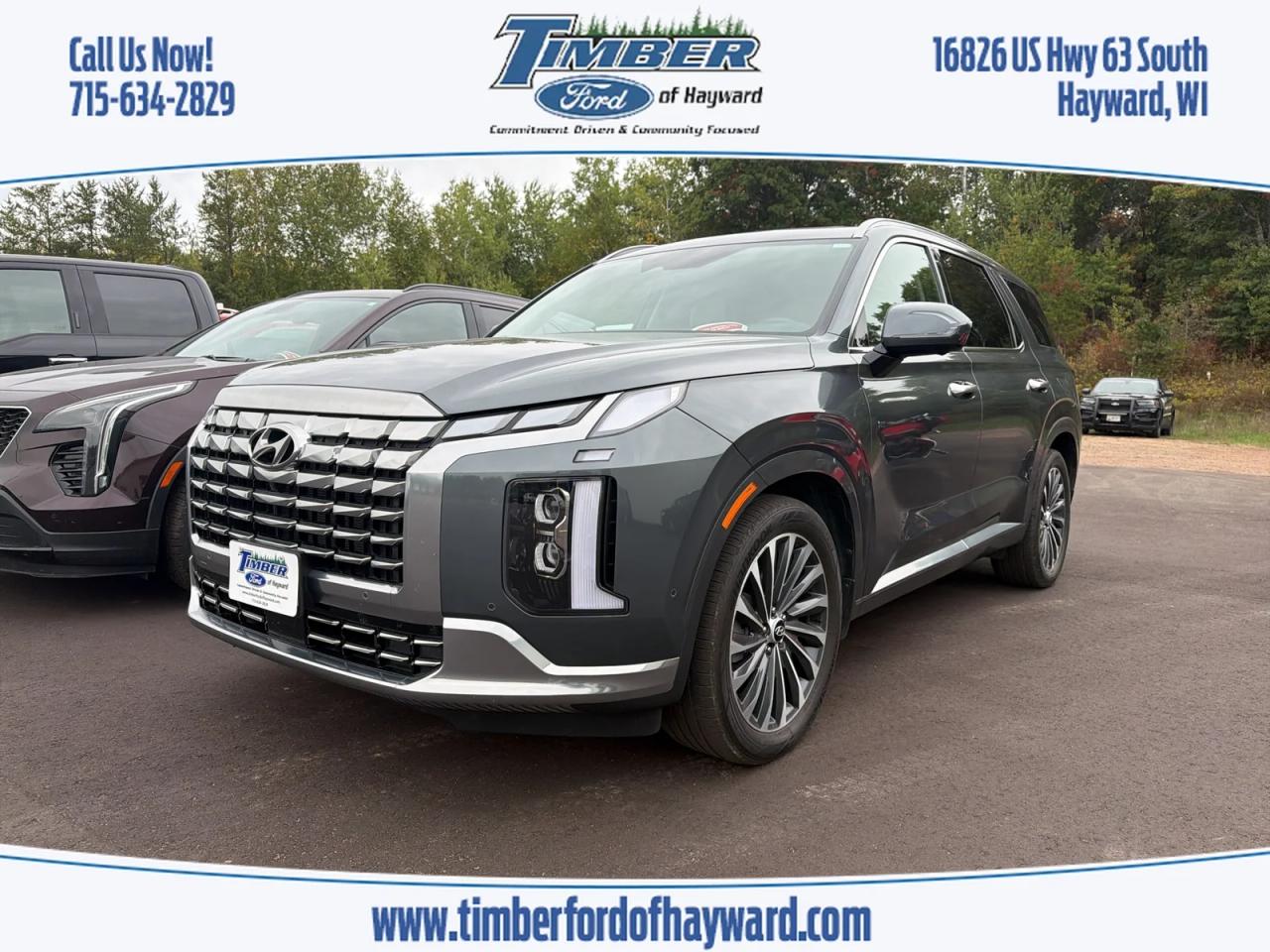 2025 HYUNDAI Palisade Calligraphy/Calligraphy Night, Steel Graphite for sale in Hayward, WI